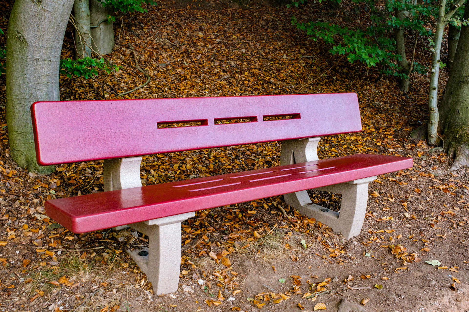 Rote Bank im Wald von WKR